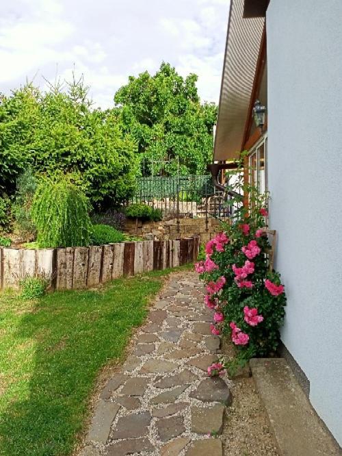 Ubytování v Tučapech 96 Borsice Exterior foto